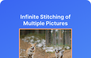 LongPic screenshot 1