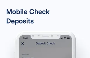 BlueVine screenshot 3