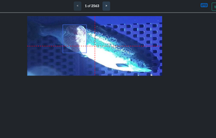 Annotation editor for addinb bounding box annotations.
