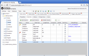 DbNinja screenshot 1