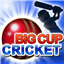 Big Cup Cricket icon