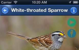 BirdSongId screenshot 1