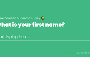 Vue Flow Form screenshot 3