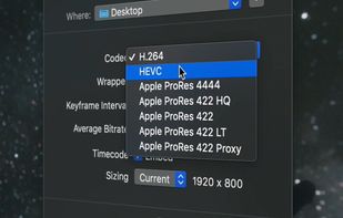 Export & Transcode
A simple export system, with the options you actually want.