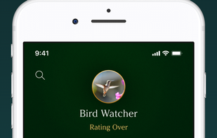 MirrorMirror Challenge screenshot 3