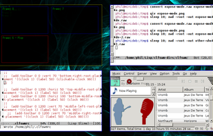 CLFSWM screenshot 3
