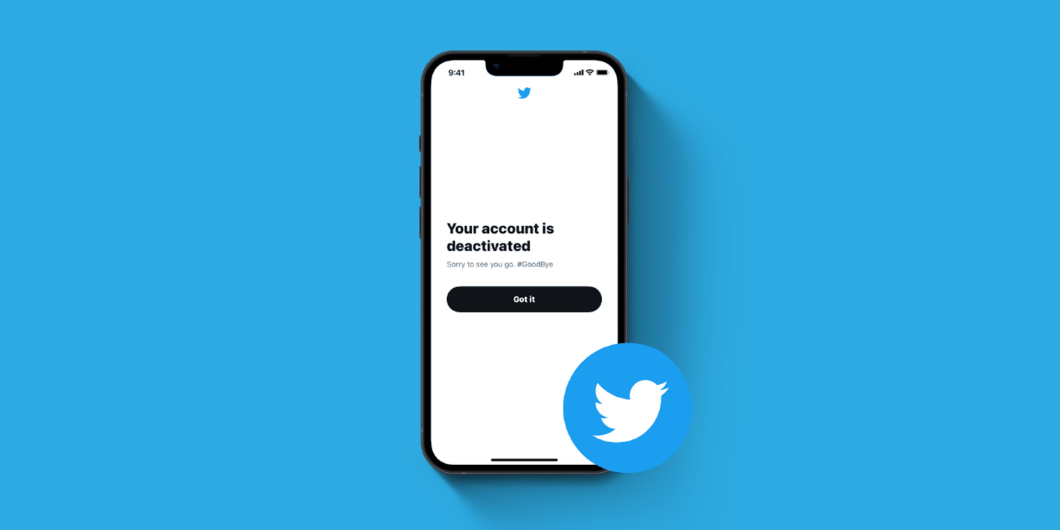 Elon Musk announces purge of dormant Twitter accounts | AlternativeTo