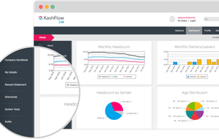 Kashflow screenshot 1