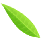 Fontea icon