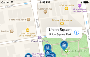 Venue Map for foursquare screenshot 1