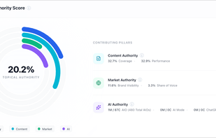 Topical Authority Scores