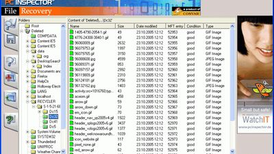 PC INSPECTOR File Recovery screenshot 1