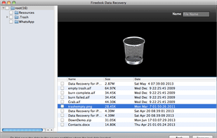 Fireebok Data Recovery screenshot 1
