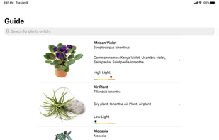 Plant Light Meter screenshot 1