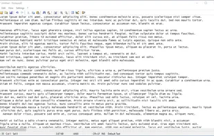 Notepad2 screenshot 1