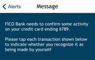 FICO Banking screenshot 2