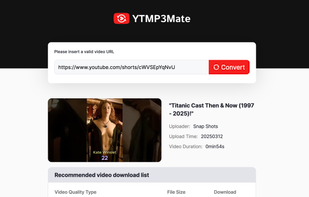 YTMP3Mate screenshot 1