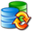 SQL Examiner icon
