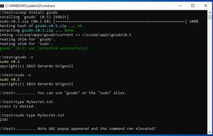 gsudo screenshot 1