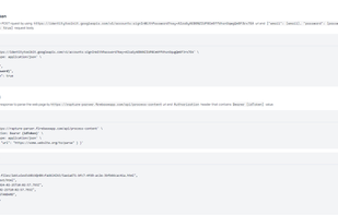 Rapture Parser screenshot 2
