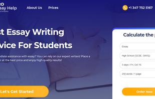 Pro Essay Help screenshot 1