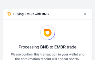 Embr Checkout Widget - Step 3 - Pay