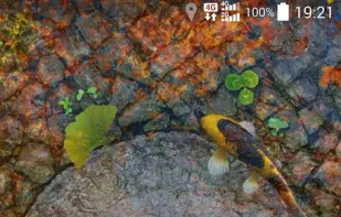 Water Garden Live Wallpaper screenshot 3