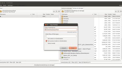 Copy/Move dialog