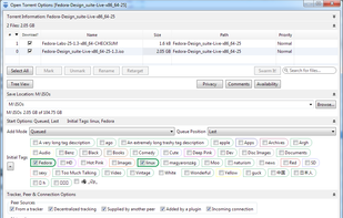BiglyBT screenshot 1