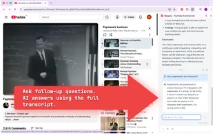 Magpie - YouTube Summarizer screenshot 1