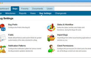 Bug Settings Overview