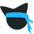 Presale.Ninja icon