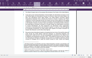 Interface displayed during PDF editing