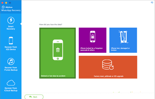 Choose how you lost WhatsApp files
