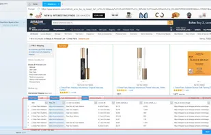 ScrapeStorm screenshot 2