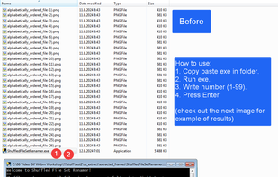 Shuffled File Set Renamer screenshot 1