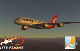 Infinite Flight screenshot 1