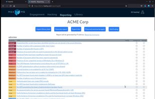 The 'reporting' page - work with findings