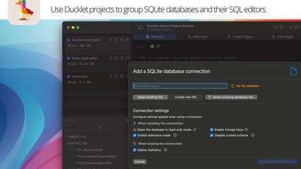 Ducklet for SQLite screenshot 1