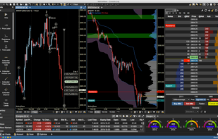 MotiveWave screenshot 1