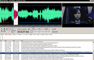 VisualSubSync screenshot 1
