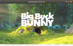 Gnomecast screenshot 1