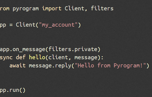 Pyrogram screenshot 1