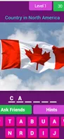 Flags Quiz - Guess the Country screenshot 1
