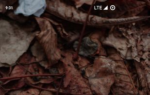 Peristyle screenshot 3