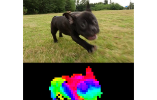 DINOv2 models demonstrate strong out-of-distribution performance and the produced features are usable without requiring any fine-tuning.