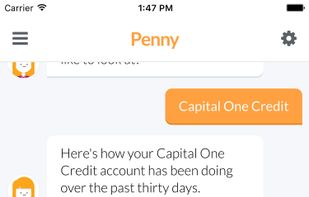 Penny screenshot 3