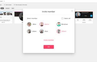 Group and manage teams and projects, set different roles to give members different permissions