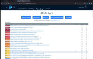The 'reporting' page - work with findings