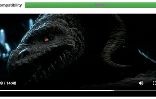 Watching a transcoded video